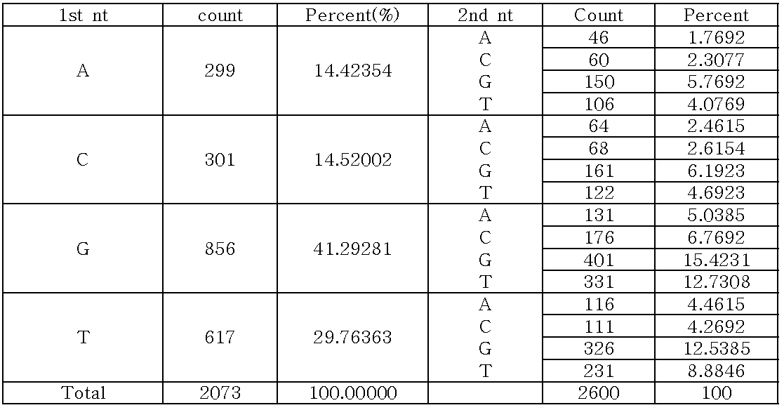 1stnucleotide후에 2ndnucleotide빈도
