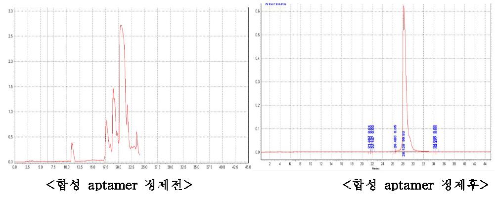 Aptamer의 HPLC정제 전 후의 순도 비교 HPLC정제 후