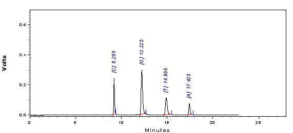 시료의 Basecomposition분석 chromatogram