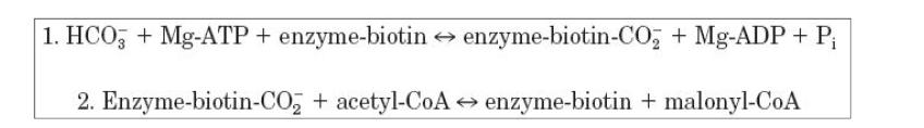 Acetyl-CoA carboxylase (ACC)의 효소반응