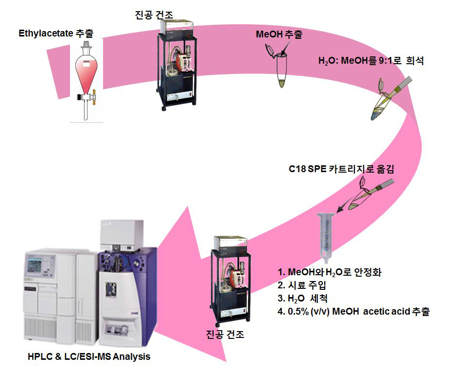 SPE를 이용한 herboxidiene시료의 전처리 과정의 확립방법