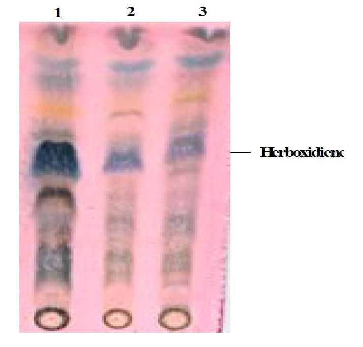 Proflo 농도에 따른 herboxidiene의 생산량 비교 TLC.