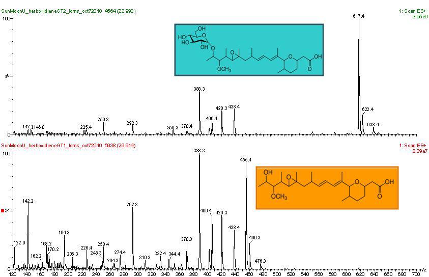 Glycosylated herboxidiene의 mass 분석.