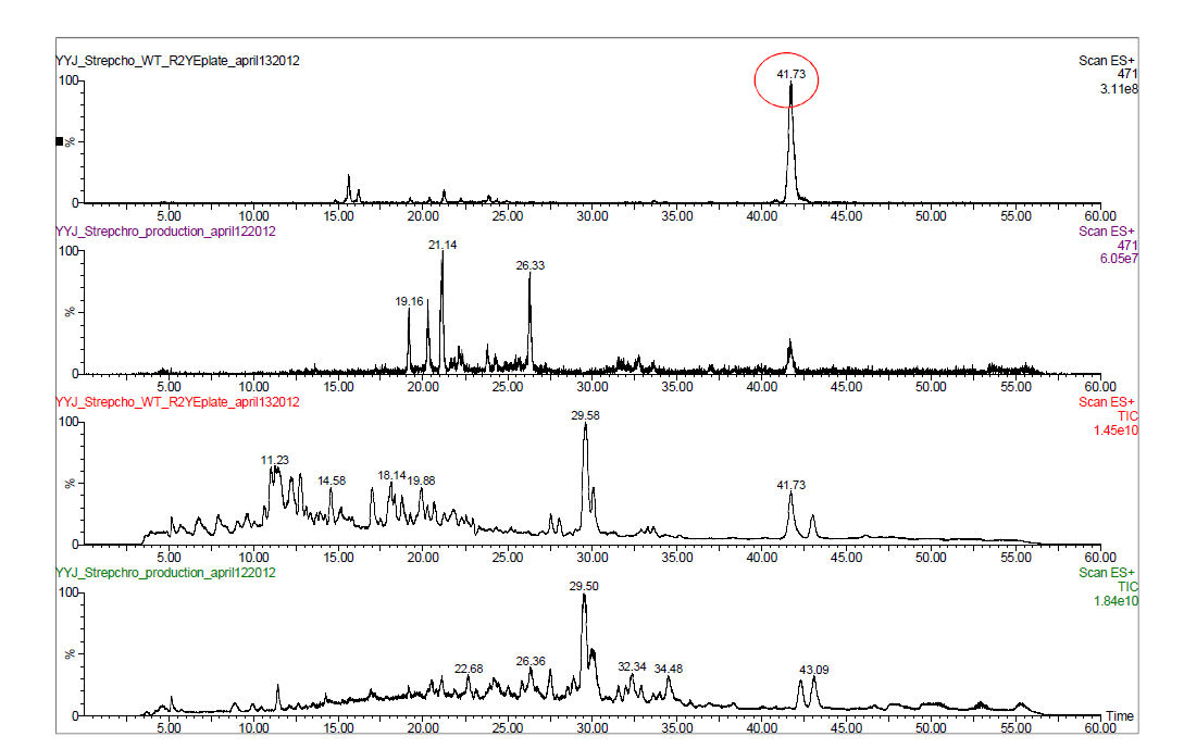 생산액체배지와 R2YE고체배지에서의 herboxidiene과 그 유도체의 HPLC-ESI-MS 분석 크로마토그램