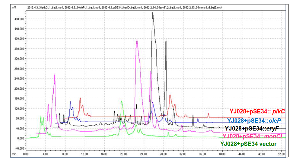 P450유전자를 pSE34(ermE*)벡터로 이종숙주에 도입한 형질전환균주의 HPLC 크로마토그램