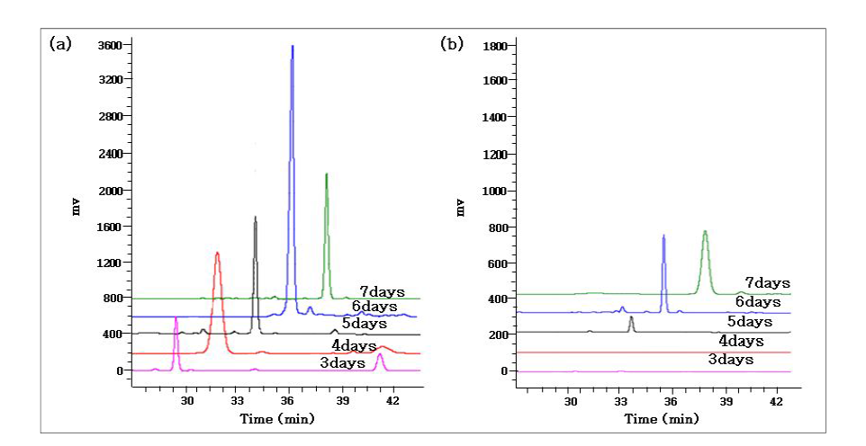 R2YE 고체배지에서의 (a)S.chromofuscusA7847과 (b)herA 과발현 균주의 배양시간에 따른 herboxidiene의 생산성 비교 HPLC 크로마토그램