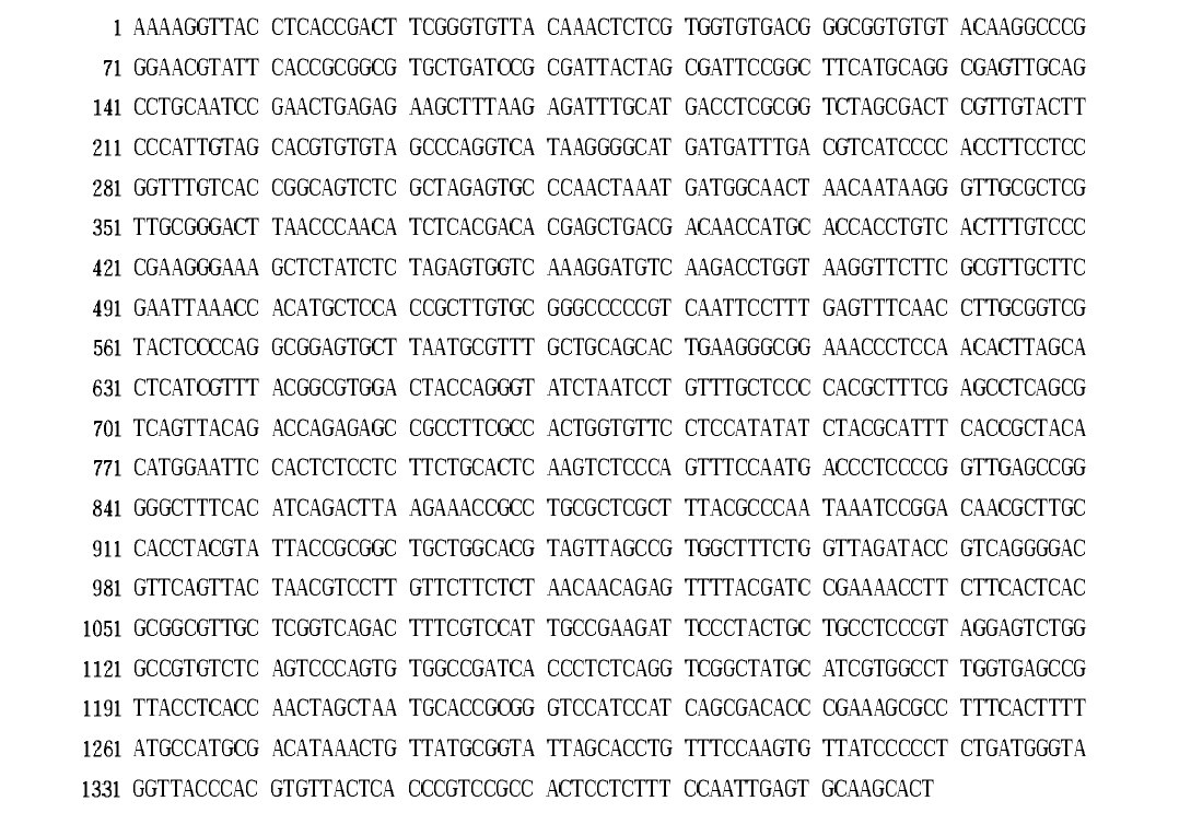 16S rDNA sequence(1,389bp)ofA3isolatedfrom horsemilk