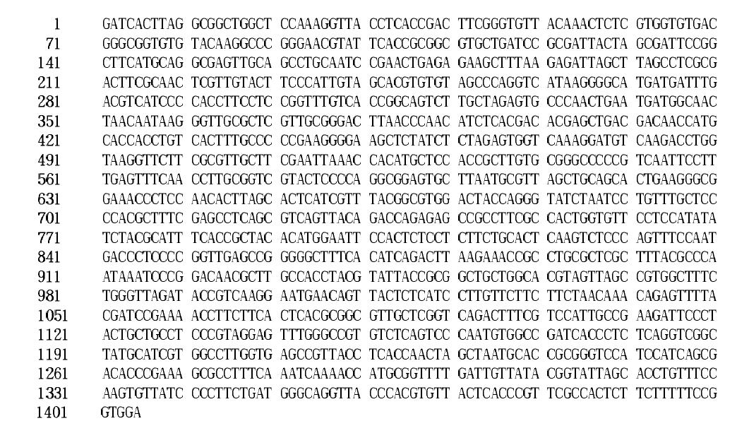 16S rDNA sequence (1,405bp) of isolated lactic acid bacteria S-A4.