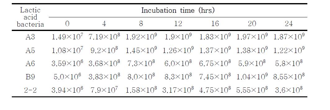 CountofliablelacticacidbacteriainMRSbroth