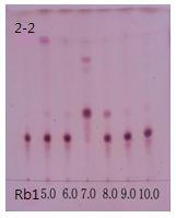 GinsenosideRb1을 22균주의 조효소액으로pH에 따라 7일간 반응시킨 TLC양상