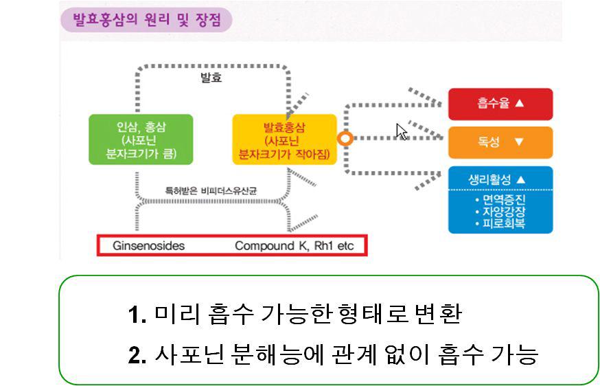 인삼과 발효공정 응용