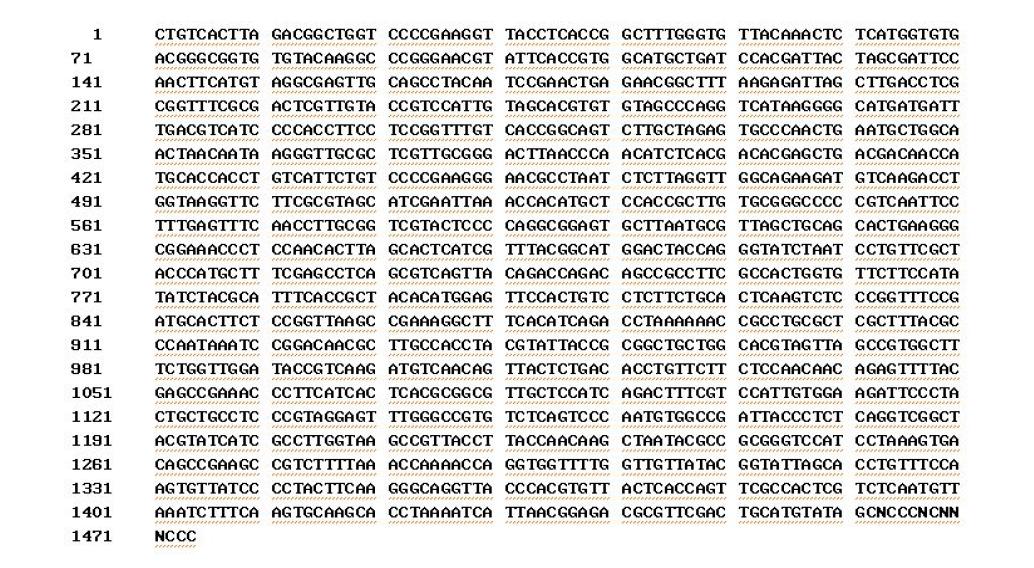 16S rDNA sequence(1,474bp)of isolated Lacto bacillus buchineri 103L