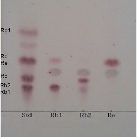 TLC analysisofginsenosideRb1,Rb2,and Reconversion by culturedbrothofstrainMBT213for7days.