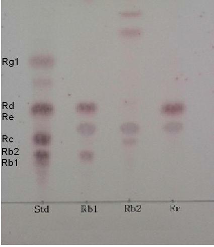 TLC analysisofginsenosideRb1,Rb2,andReconversionbyculturedbrothofstrain103Lfor7days.