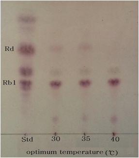 TLC analysis ofconversion of ginsenoside Rb1 by strain 103L fordeterminationtooptimum temperature
