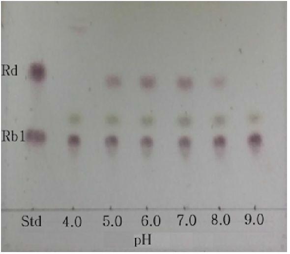 TLC analysisofconversion of ginsenoside Rb1by strain MBT213fordeterminationtooptimum pH.