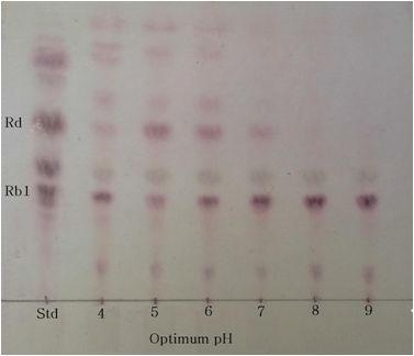 TLC analysis ofconversion of ginsenoside Rb1 by strain 103L fordeterminationtooptimum pH.