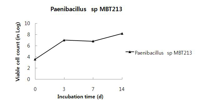 ViablecellcountofPaenibacillusspMBT213in20% ginseng root.