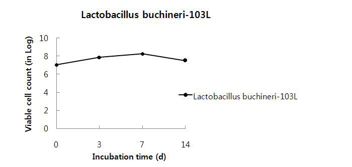 ViablecellcountofLactobacillusbuchineri103L in20% ginseng root.