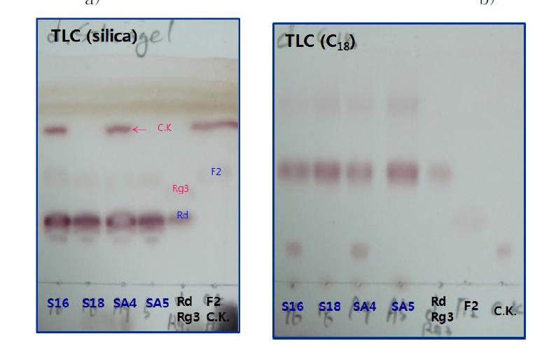 GinsenosideRd의 발효에 따른 TLC형태