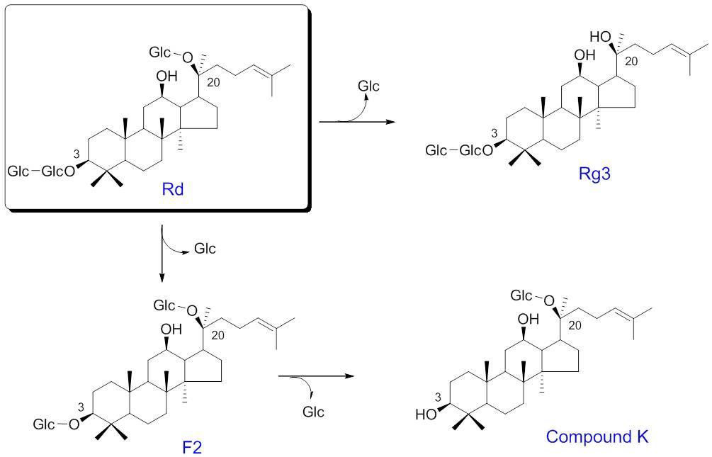 발효에 의한 GinsenosideRd에서 Rg3& CompoundK로의화학적 구조변화 과정