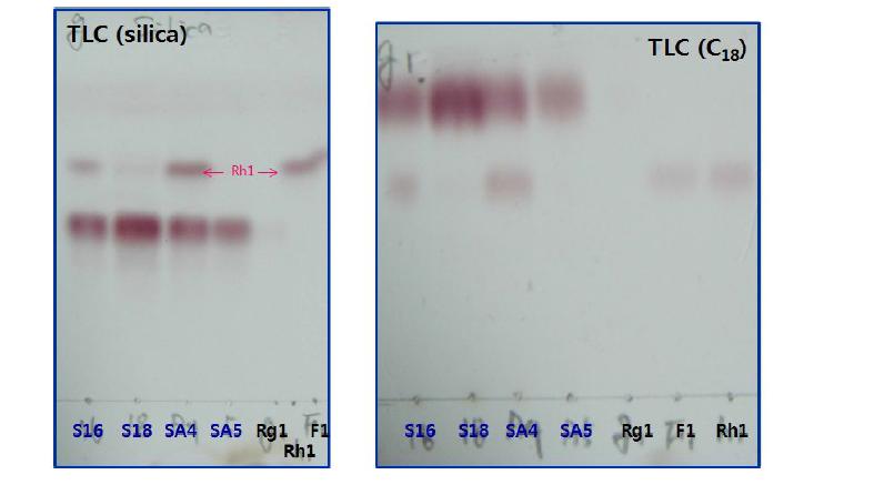 GinsenosideRg1의 발효균주에 따른 TLC형태