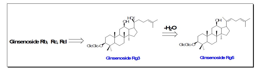 발효에 의한 GinsenosideRb1에서 Rg3와 Rg5의 화학적 구조변화 과정
