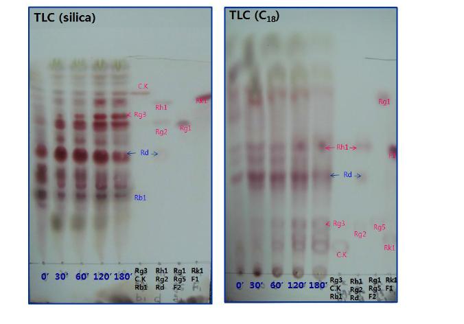 발효인삼꽃봉오리(SN-6)의 증숙시간에 따른 발효증숙인삼꽃봉오리의 TLC변화