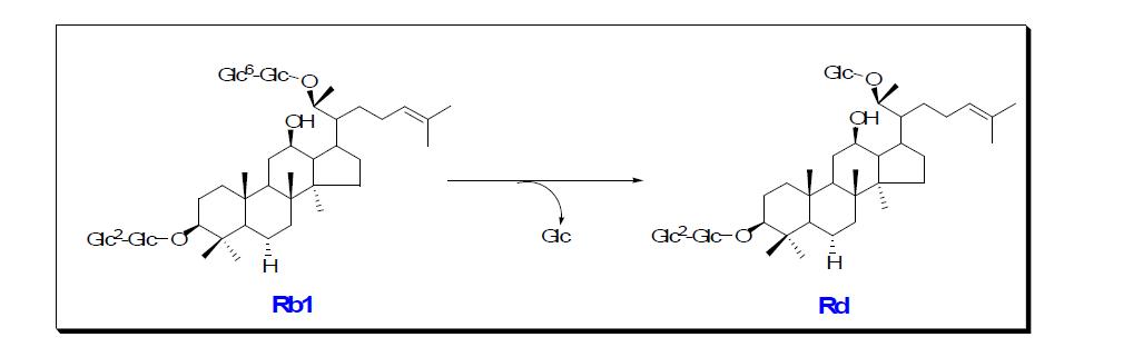 발효에 의한 GinsenosideRb1에서 Rd로의 화학적 구조변화 과정
