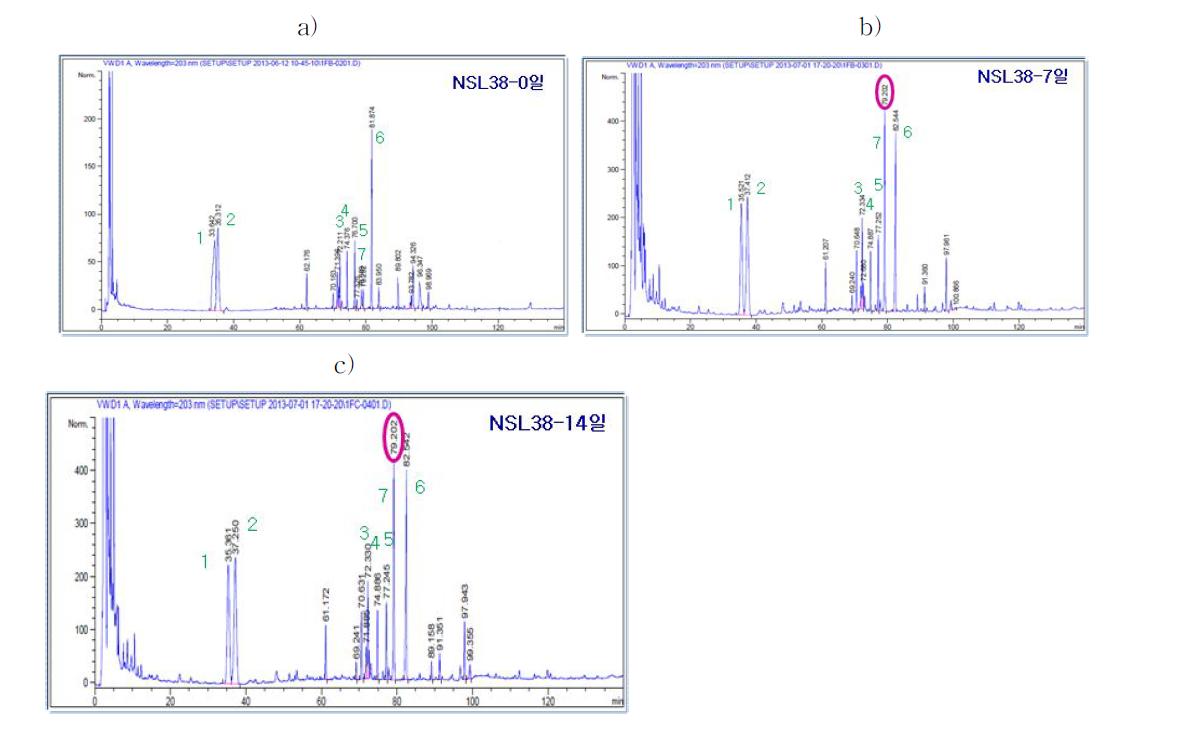 발효홍삼의 HPLC분석-38유산균 발효