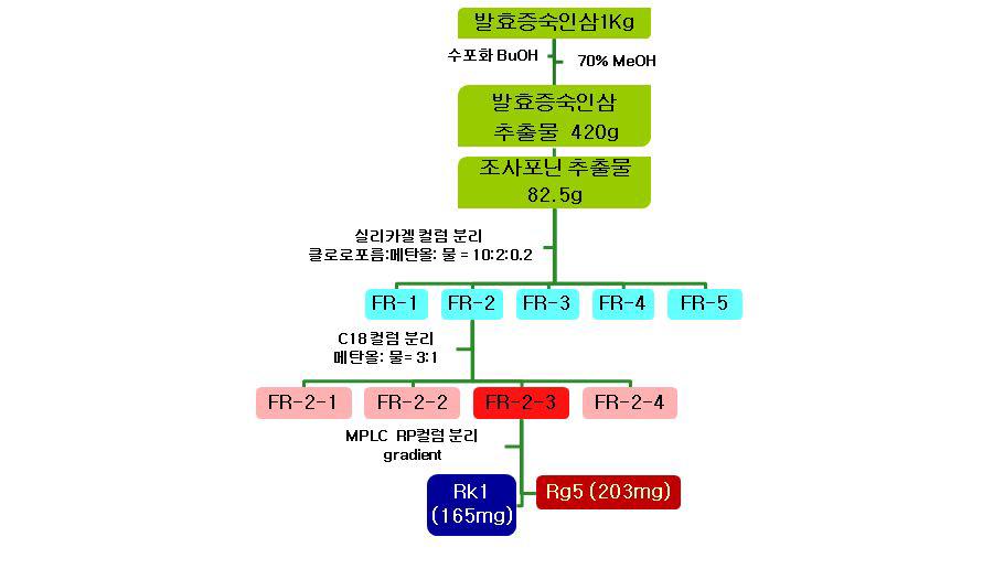 발효증숙인삼의 사포닌 분리