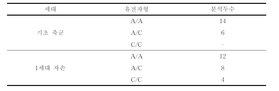 제주재래돼지 집단에서의 LTBP2exon32내에 존재하는 SNP의 유전자형 분포