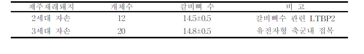 한국재래돼지 갈비뼈 수관련 유전자 접목 효과