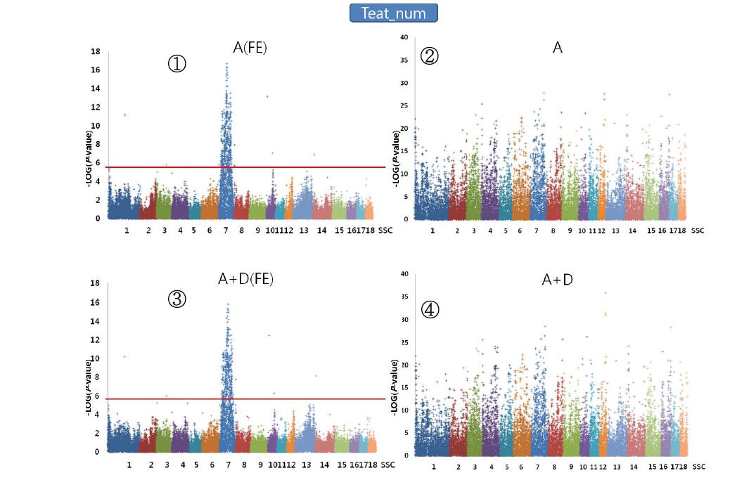 Plink(②,④)와 QxPak(①,③)를 이용한 총 유두수에 대한 Genomewideassociation분석 결과