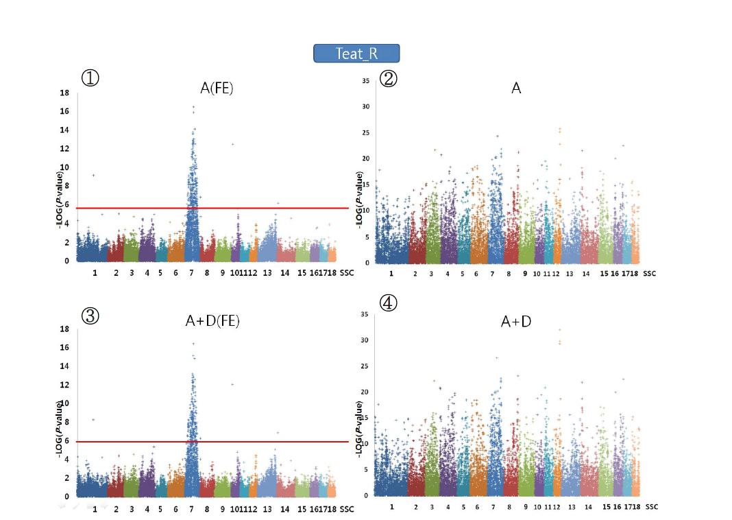 Plink (②,④)와 QxPak (①,③)를 이용한 우측 유두수에 대한 Genome wideassociation분석 결과