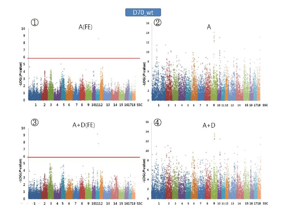 Plink (②,④)와 QxPak (①,③)를 이용한 70일령 체중에 대한 Genome wideassociation분석 결과