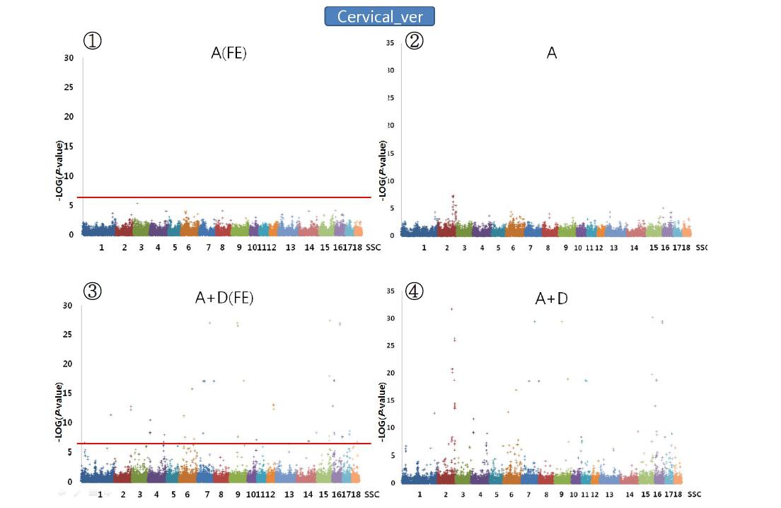 Plink (②,④)와 QxPak (①,③)를 이용한 목 경추수에 대한 Genome wideassociation분석 결과