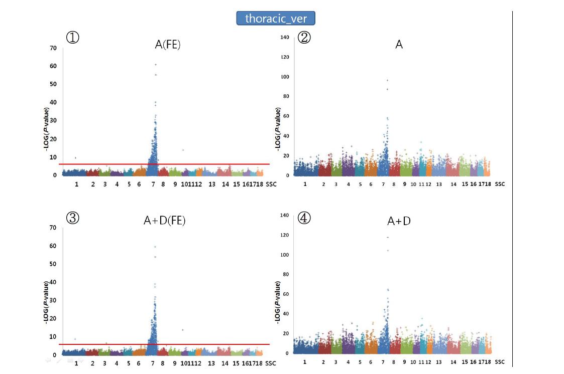 Plink (②,④)와 QxPak (①,③)를 이용한 갈비뼈수에 대한 Genomewideassociation분석 결과