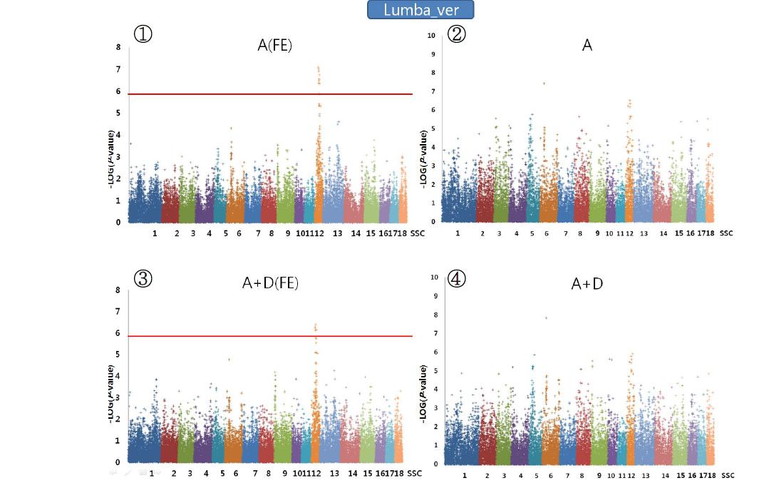 Plink (②,④)와 QxPak (①,③)를 이용한 허리뼈수에 대한 Genomewideassociation분석 결과