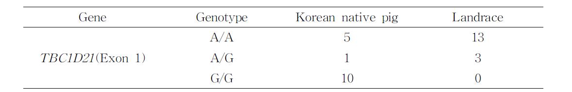 한국재래돼지 ×랜드레이스 교잡 축군 F0개체들의 TBC1D21유전자형 분석 결과