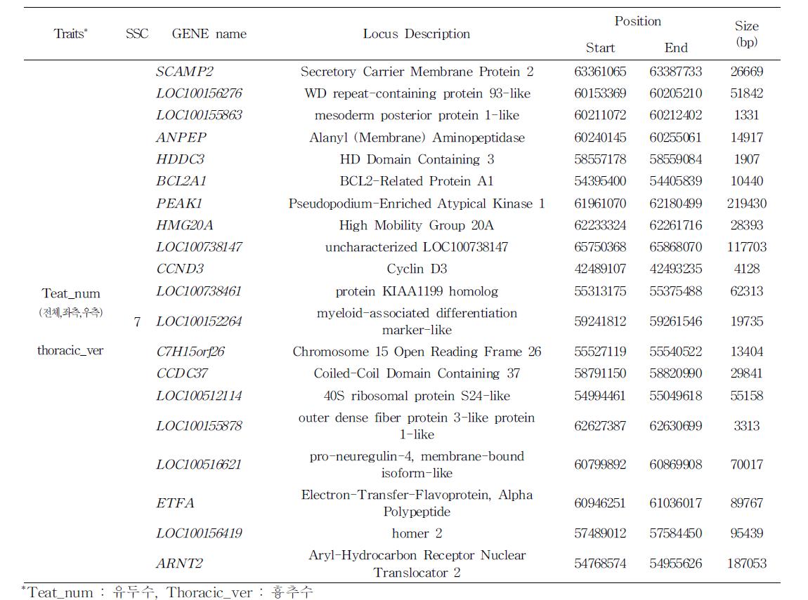 유두수(Teat_L,Teat_R,Teat_num)및 흉추수(Thoracic_ver)관련 후보 유전자