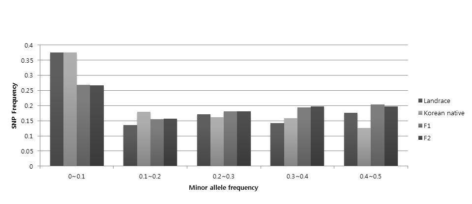 각그룹에 따른 소수유전자 빈도 분포