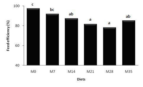 Feed efficiency of juvenile rockfish fed the experimental diets for 8 weeks.