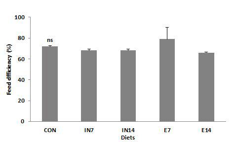 Feed efficiency (%) of juvenile rockfish fed the experimental diets for 9 weeks