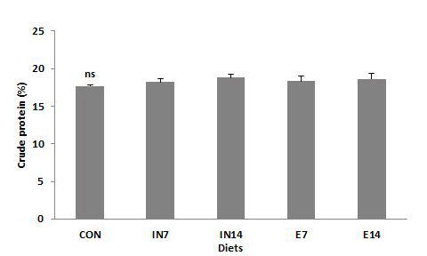 Crude protein (%) of the whole body in juvenile rockfish fed the experimental diets for 9 weeks