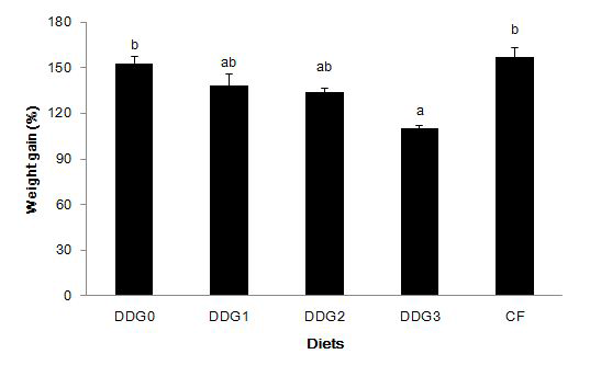 Weight gain (%) of juvenile olive flounder fed the experimental diets for 7 weeks