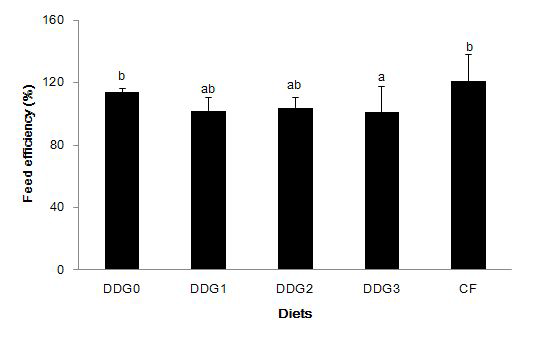 Feed efficiency (%) of juvenile olive flounder fed the experimental diets for 7 weeks