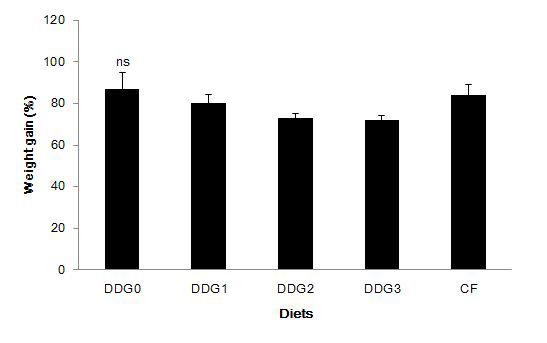 Weight gain (%) of rockfish fed the experimental diets for 12 weeks