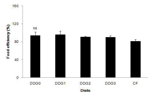 Feed efficiency (%) of rockfish fed the experimental diets for 12 weeks