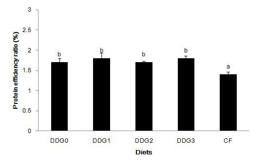 Protein efficiency ratio (%) of rockfish fed the experimental diets for 12 weeks